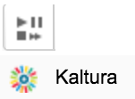 Insert video icon