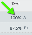 Screenshot of Total column showing achievement level after numerical grade