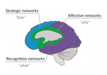 Image explaining udl design experience. Strategic networks - how; Affective networks - why; Recognition networks - what