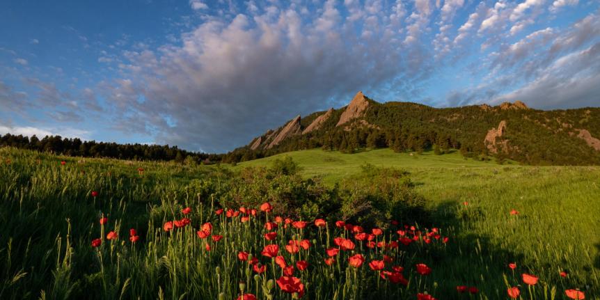 Flatirons summer