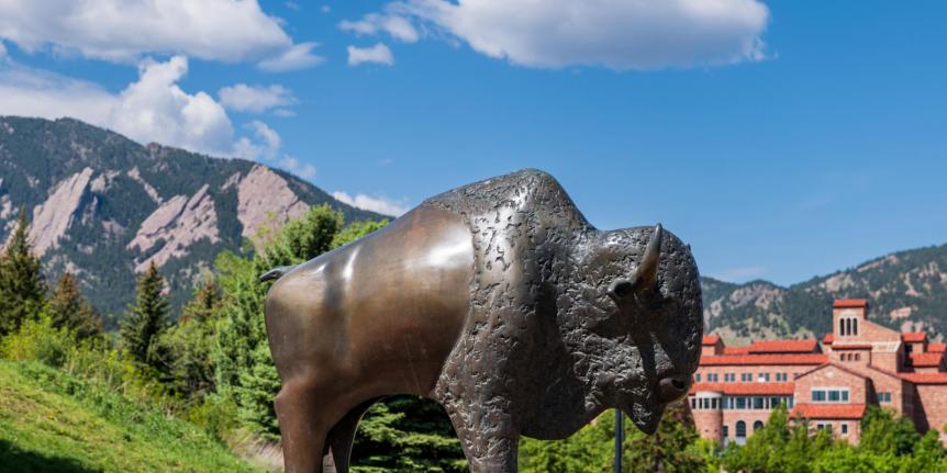 Photo of buffalo statue in front of the flatirons 