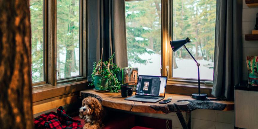 Laptop computer setup with a dog being cute next to it