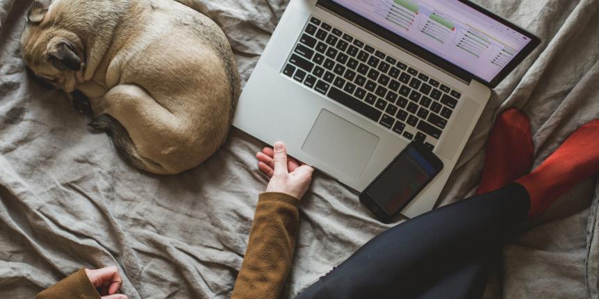 woman on bed with laptop and dog