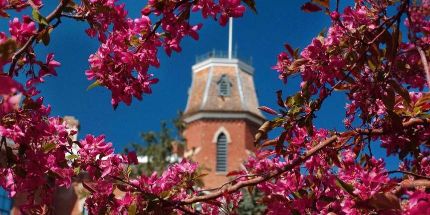 Old Main and tree blossoms