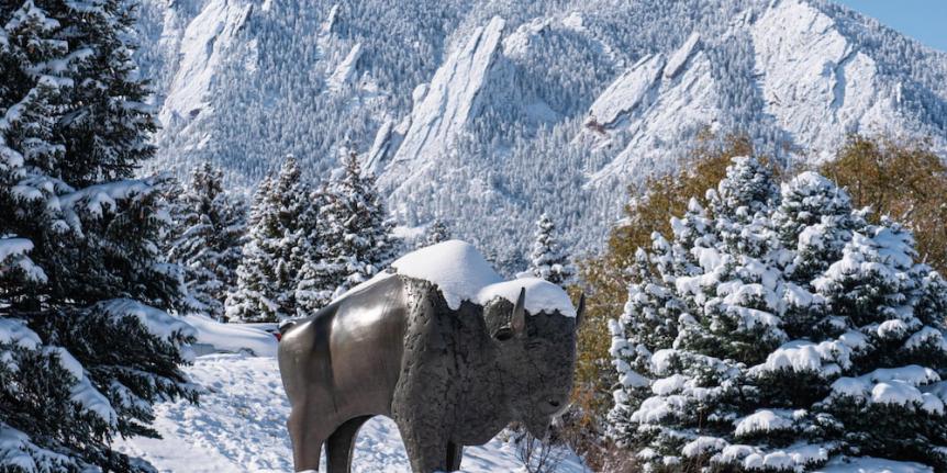 Ralphie statue covered in snow