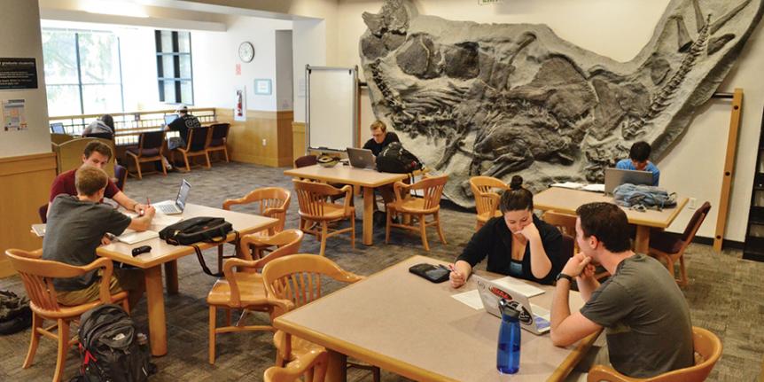 Students studying in the Earth Sciences Library.