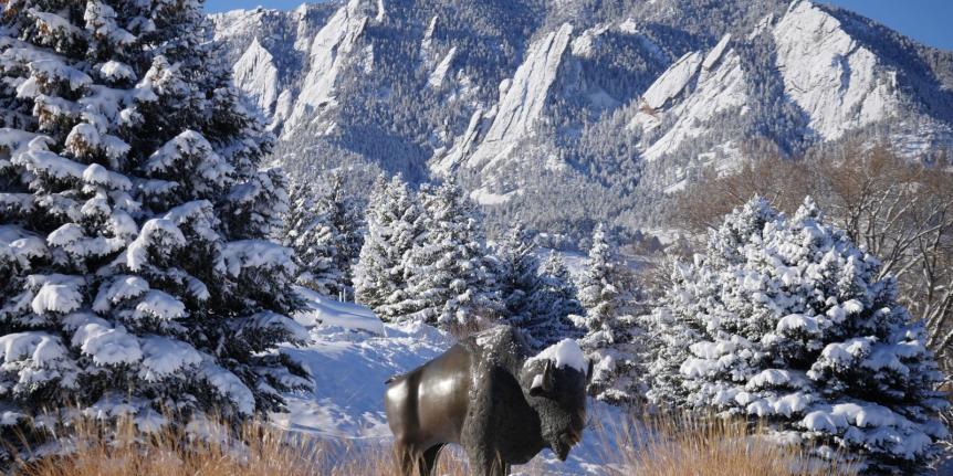 Photo of buffalo statue covered in snow