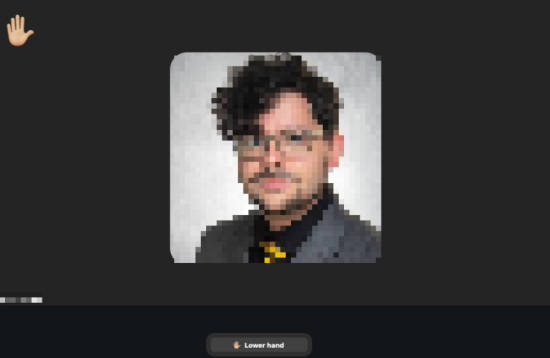 In this Zoom meeting screenshot, a raised-hand icon appears in the upper left and a "Lower hand" button is floating above the toolbar.