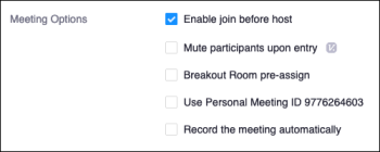 The Meeting Options window within the Canvas Zoom integration does not have an option to enable Zoom AI Summaries.