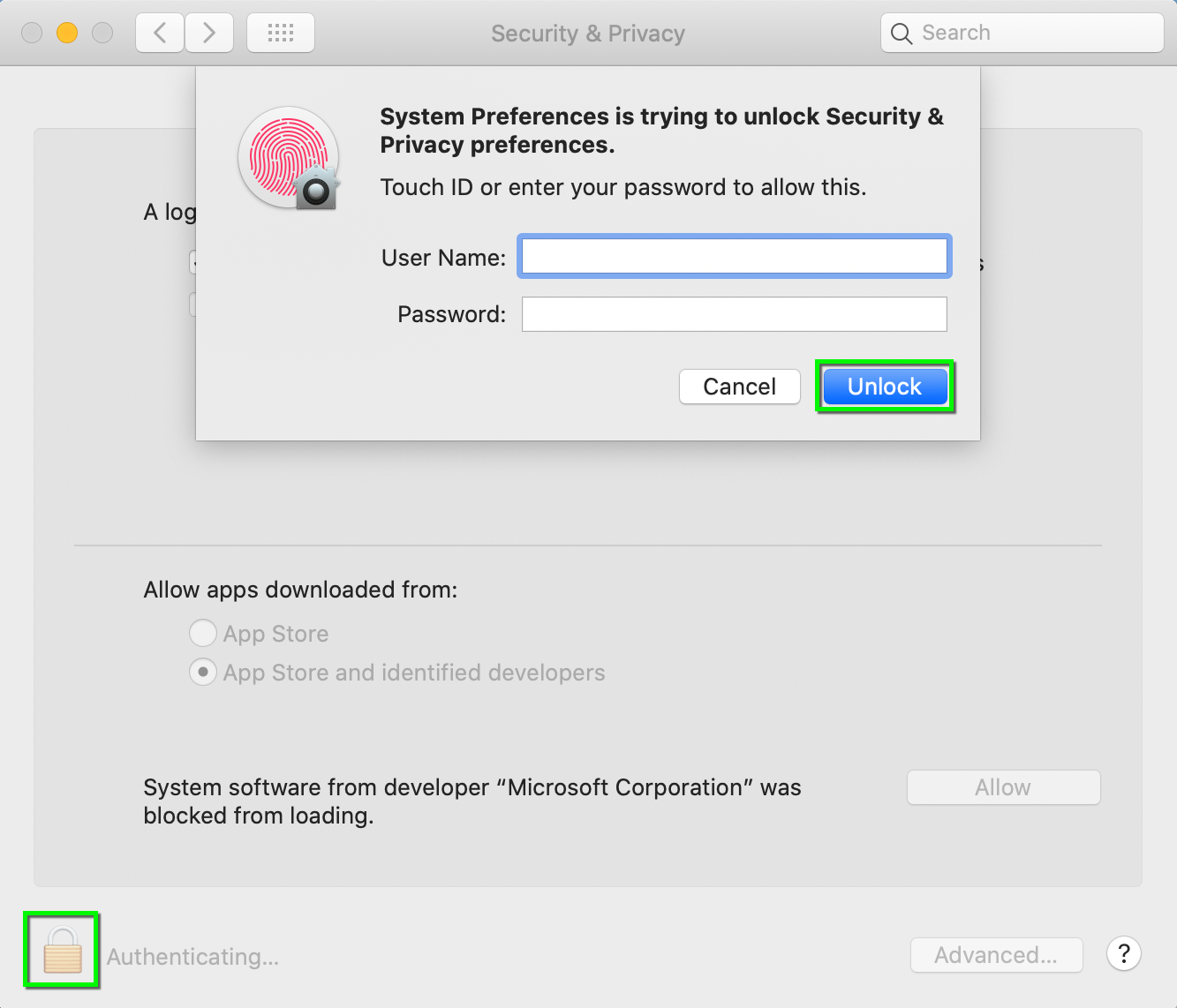 install microsoft autoupdate mac install microsoft autoupdate mac